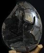Septarian Dragon Egg Geode - Black Crystals #37118-4